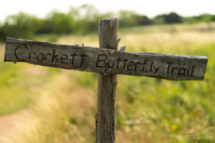 Crockett_Butterfly_Trail_Sign