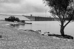 Lone Tree At Lake Whitney Dam